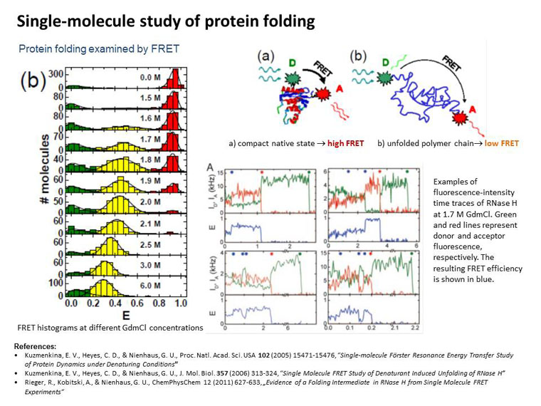 protein folding